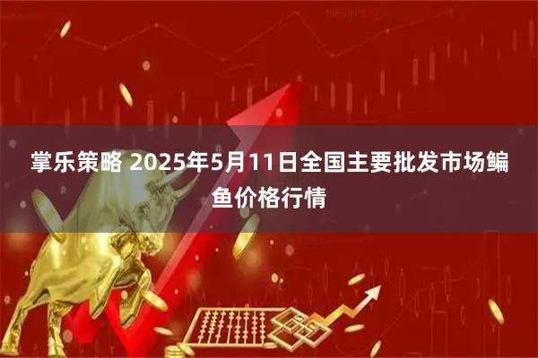 掌乐策略 2025年5月11日全国主要批发市场鳊鱼价格行情