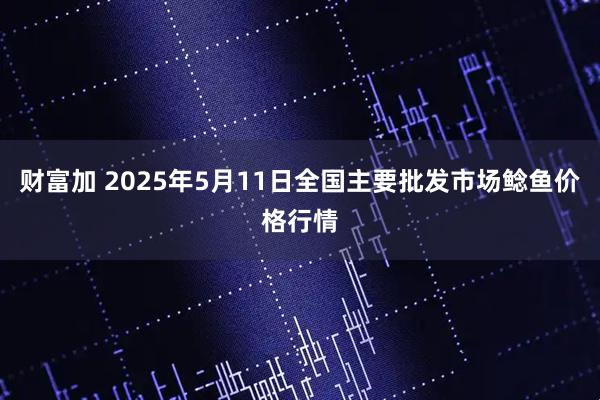 财富加 2025年5月11日全国主要批发市场鲶鱼价格行情