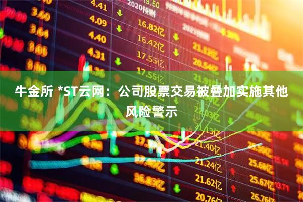 牛金所 *ST云网：公司股票交易被叠加实施其他风险警示